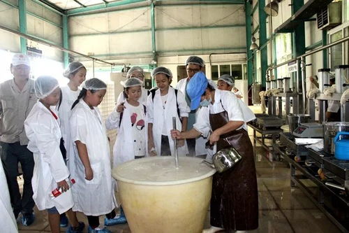 小鮮肉涌入生活公司食品廠，跨界時尚引發熱議